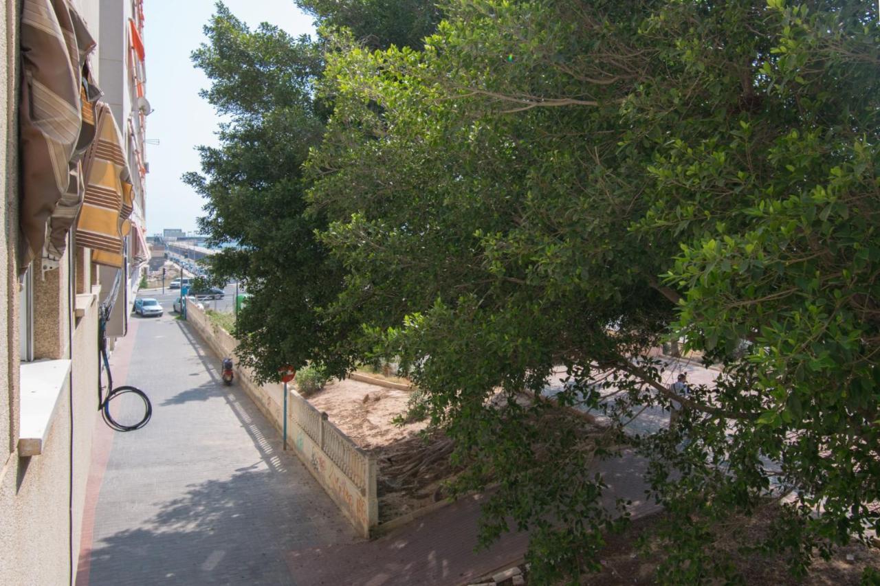 113 Beach And Trees - Alicante Holiday Torrevieja Exterior photo